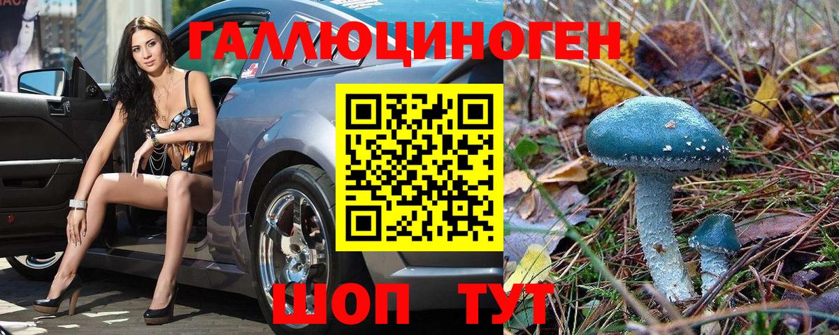 Псилоцибиновые грибы ЛСД Дзержинский