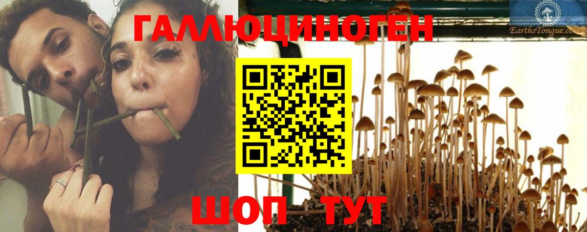 Галлюциногенные грибы Magic Shrooms  Вход с VPN  Дзержинский 